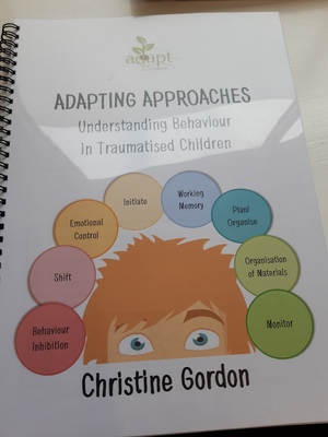 Adapting Approaches Understanding Behaviour in Traumatised Children Adapting Approaches Understanding Behaviour in Traumatised Children