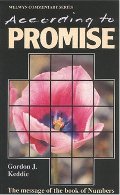 According To Promise: Message According To The Book Of Numbers According To Promise: Message According To The Book Of Numbers