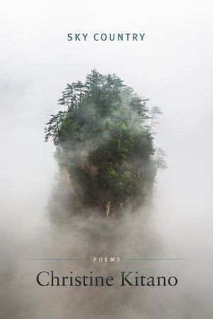 Sky Country (American Poets Continuum) Sky Country (American Poets Continuum)
