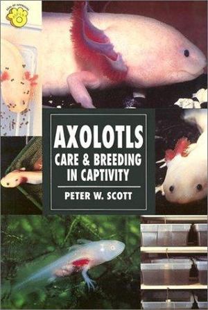 Axolotls Axolotls