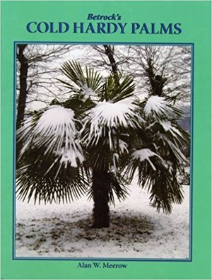Betrock's Cold Hardy Palms Betrock's Cold Hardy Palms