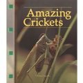 Amazing Crickets (Newbridge discovery links) Amazing Crickets (Newbridge discovery links)