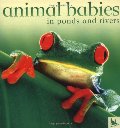 Animal Babies in Ponds and Rivers Animal Babies in Ponds and Rivers
