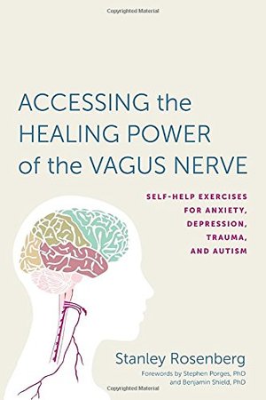 Accessing the Healing Power of the Vagus Nerve: Self-Help Exercises for Anxiety, Depression, Trauma, and Autism Accessing the Healing Power of the Vagus Nerve: Self-Help Exercises for Anxiety, Depression, Trauma, and Autism
