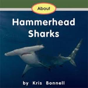 About Hammerhead Sharks About Hammerhead Sharks