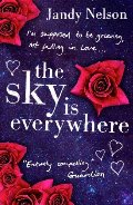 Sky Is Everywhere Sky Is Everywhere