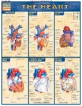 Heart The (Quickstudy: Academic) Heart The (Quickstudy: Academic)