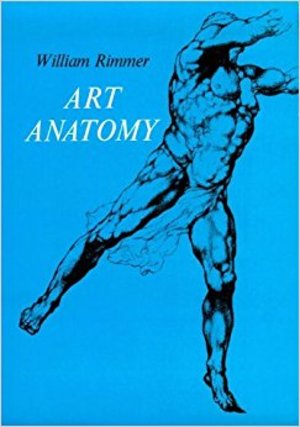 Art Anatomy Art Anatomy