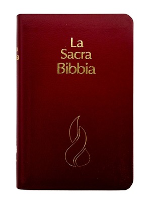 Bibbia NR94 - 31156 Bibbia NR94 - 31156