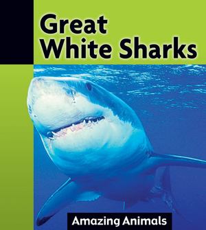 Great White Sharks Great White Sharks