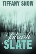 Blank Slate Blank Slate