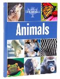 Animals Animals