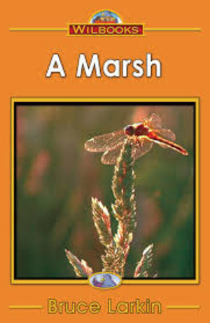 Marsh, A (6) Marsh, A (6)