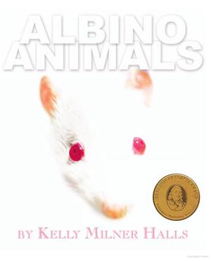Albino Animals Albino Animals