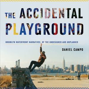 Accidental Playground, The Accidental Playground, The