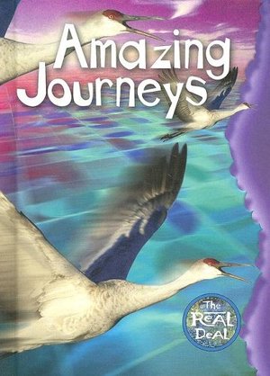 Amazing Journeys Amazing Journeys