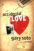 Accidental Love Accidental Love