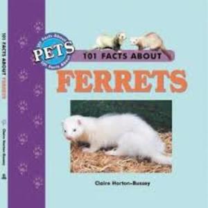101 facts about ferrets 101 facts about ferrets