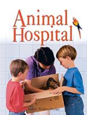 Animal Hospital Big Book Animal Hospital Big Book