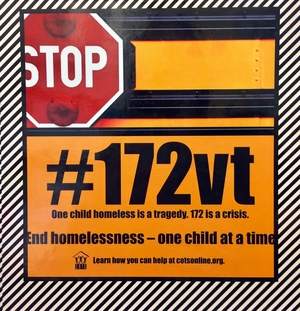 #172vt Campaign 2015, The #172vt Campaign 2015, The