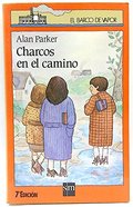 Charcos en el camino Charcos en el camino