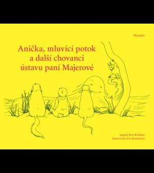 Anička, mluvící potok a další chovanci ústavu paní Majerové Anička, mluvící potok a další chovanci ústavu paní Majerové