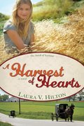 Harvest Of Hearts (Amish of Seymour) Harvest Of Hearts (Amish of Seymour)