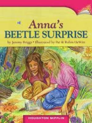 Anna's Beetle Surprise (8) Anna's Beetle Surprise (8)