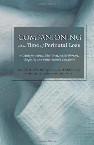Companioning at a Time of Perinatal Loss: A Guide for Nurses, Physicians, Social Workers, Chaplains and Other Bedside Caregivers Companioning at a Time of Perinatal Loss: A Guide for Nurses, Physicians, Social Workers, Chaplains and Other Bedside Caregivers