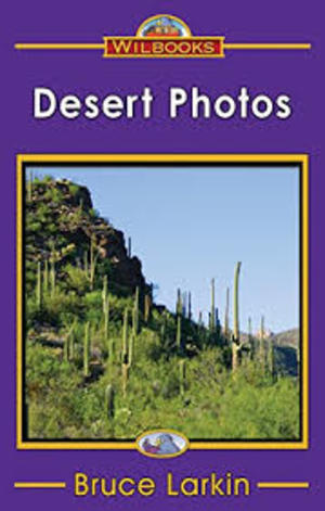 Desert Photos Desert Photos