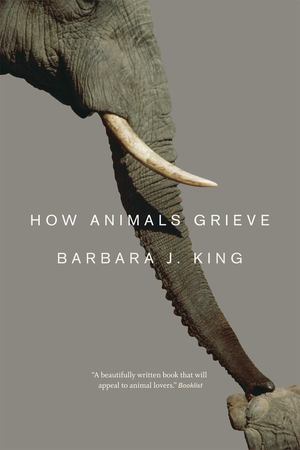 How Animals Grieve How Animals Grieve