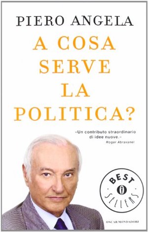 cosa serve la politica?, A cosa serve la politica?, A