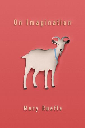 On Imagination On Imagination