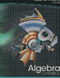 Algebra 1: Common Core - Teacher's Edition - Volume 1 Algebra 1: Common Core - Teacher's Edition - Volume 1