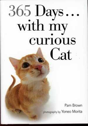365 Days... with my curious Cat 365 Days... with my curious Cat
