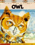 Animal Lore & Legend: Owl Animal Lore & Legend: Owl