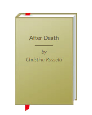 After Death After Death